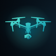 Brain Icon